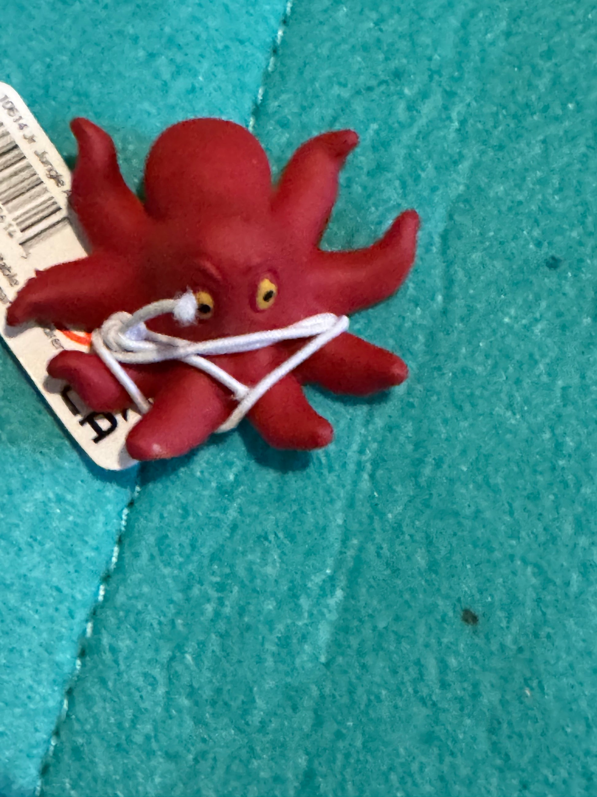 Sea life Creatures