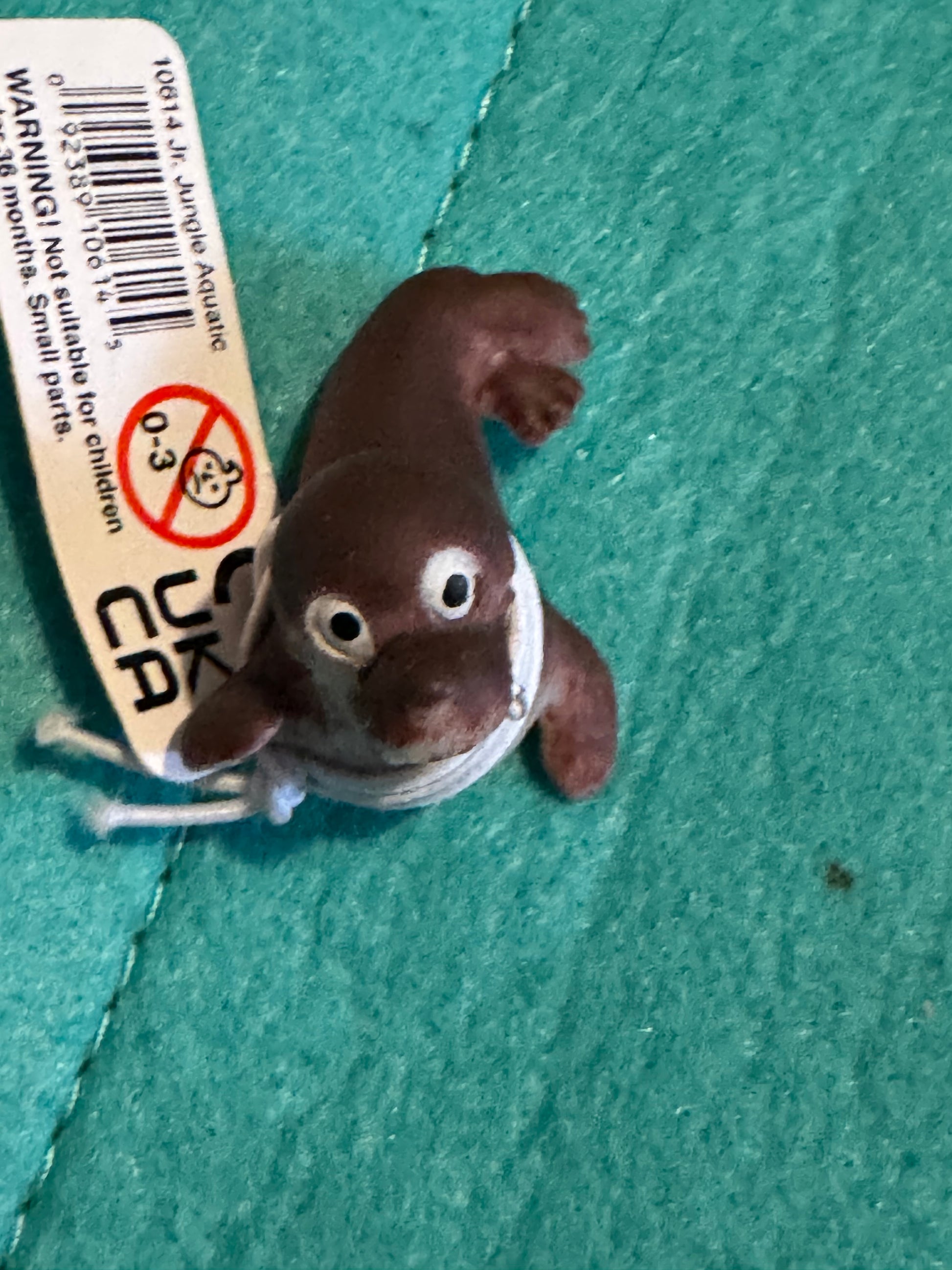 Sea life Creatures